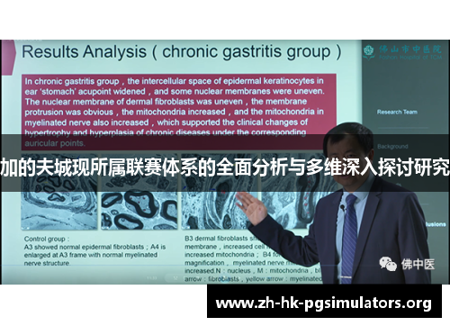 加的夫城现所属联赛体系的全面分析与多维深入探讨研究