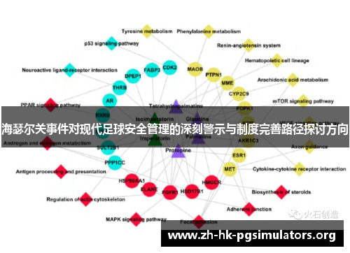 海瑟尔关事件对现代足球安全管理的深刻警示与制度完善路径探讨方向
